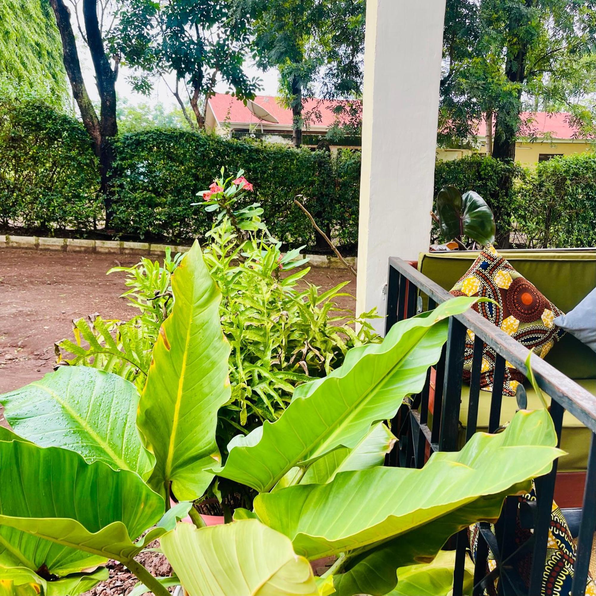 Sophie Homestay Moshi Exterior photo